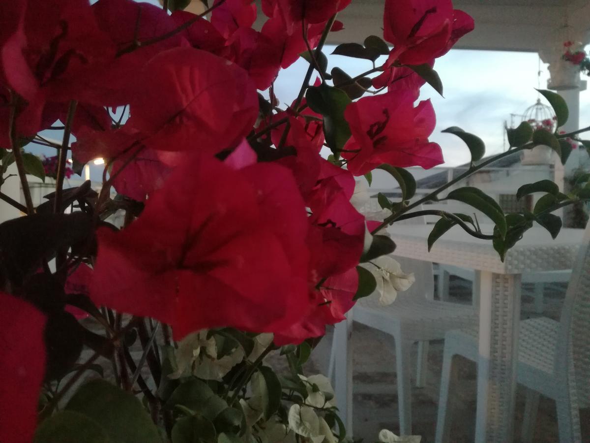 Bed & Breakfast Casa Del Corso