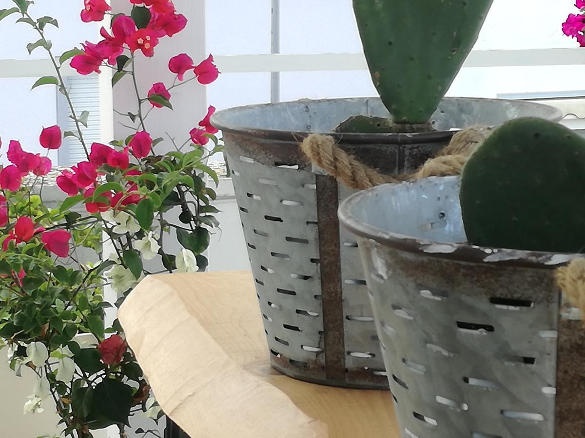 Bed & Breakfast Casa Del Corso