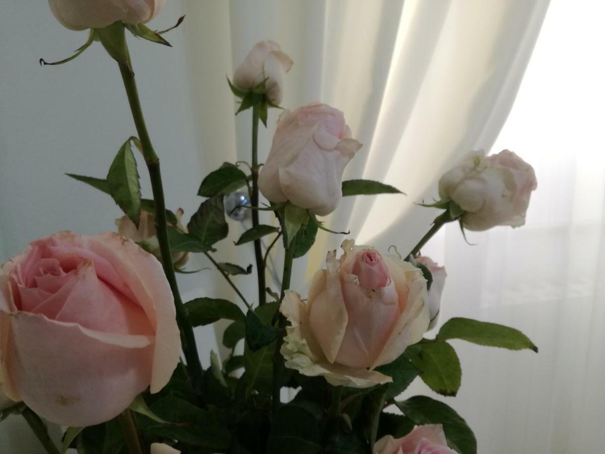 Casa Del Corso Bed & Breakfast Taviano (Lecce)